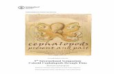 5 International Symposium Coleoid Cephalopods through Time