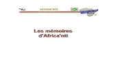 Le commerce électronique en Afrique, état de la question et ...