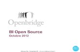BI Open Source