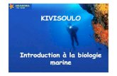 KIVISOULO Introduction à la biologie marine