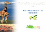 Initiation SIG QGIS Arlon Campus Environnement.pdf