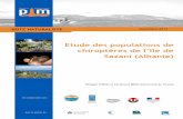 Etude des populations de chiroptères de l'île de Sazani (Albanie)