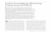 Scaled Atmospheric Blooming Experiments (SABLE)