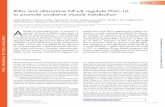 IKKα and alternative NF-κB regulate PGC-1Я to promote oxidative ...