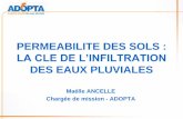 PERMEABILITE DES SOLS : LA CLE DE L'INFILTRATION DES ...