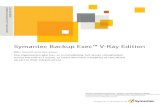 Symantec White Paper - Symantec Backup Exec™ V-Ray Edition