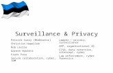 Surveillance and privacy panel