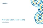 Why Your Apache Spark Job is Failing