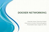 Docker Networking - Current Status and goals of Experimental Networking