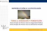 Tema 3. Sensación y Percepción..pdf