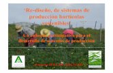 'Re-diseño, de sistemas de producción hortícolas sostenibles'