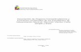 Descripción de Órganos Fonoarticulatorios y Funciones Orofaciales ...