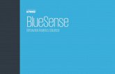 20161207 BlueSense Infopack