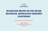 H2O World -  Sparkling water on the Spark Notebook: Interactive Genomes Clustering - Xavier Tordoir