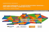 Seminario Técnico Voluntariado y Participación Social: Delimitación ...