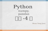 Python+numpy pandas 4편