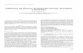 Euthyneura del Plioceno del Emporda (Girona). Descriptiva y ...