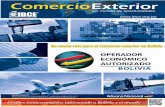 Operador Económico Autorizado (OEA)