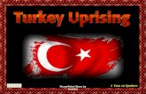 Turkey Uprising