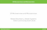 Of Microservices and Microservices -  Robert Munteanu