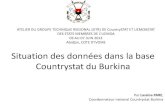 " Situation des données dans la base Countrystat du Burkina"
