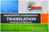 Difference Between Prokaryotic and Eukaryotic Translation PPT and PDF by Easybiologyclass