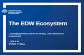 The EDW Ecosystem