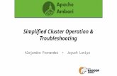 Simplified Cluster Operation & Troubleshooting