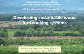 Developing sustainable wood fuel cooking systems