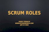 Agile scrum roles