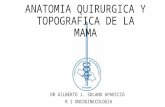 Anatomia quirurgica y topografica de la mama