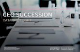CEO Succession - Data Spotlight
