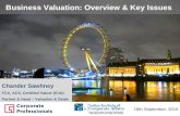 Business Valuation: Overview & Key Issues