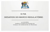 O FIA - Desafios do Marco Regulatório