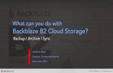 Backblaze B2 Cloud Storage Overview