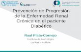 Prevencion de Progresión del a Enfermedad Renal Crónica en el paciente Diabetico