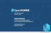 OpenPOWER Update
