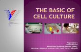 Basics of cell culture