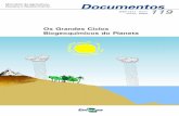 Os Grandes Ciclos Biogeoquímicos do Planeta (2004)