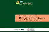Panorama da Biodiversidade em Minas Gerais - 1ª Atualização