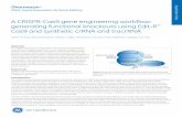 A CRISPR-Cas9 gene engineering workflow: generating functional ...