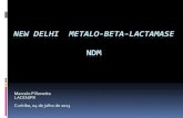 New Delhi Metalo-beta-lactamase NDM