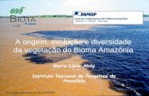 A origem, evolução e diversidade da vegetação do Bioma Amazônia
