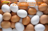 Commercial Egg Production Guide
