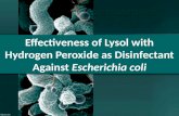 Effectivity of lysol with hydrogen peroxide