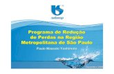Programa de Redução de Perdas na Região Metropolitana de São ...