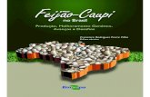 Feijão-Caupi no Brasil: Produção, melhoramento genético, avanços ...