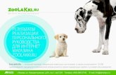 История успеха интернет-магазина зоотоваров zoolakki.ru