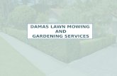 Blossom Lawn with Perfect Gardening Services in Denistone