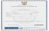 senior certificate